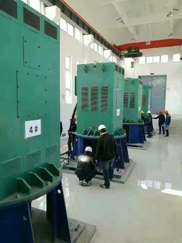 洛扎某污水处理厂使用我厂的立式高压电机安装现场