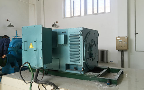 洛扎某水电站工程主水泵使用我公司高压电机哪家好
