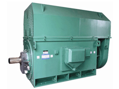 洛扎Y系列6KV高压电机